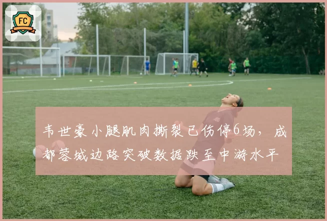 韦世豪小腿肌肉撕裂已伤停6场,成都蓉城边路突破数据跌至中游水平