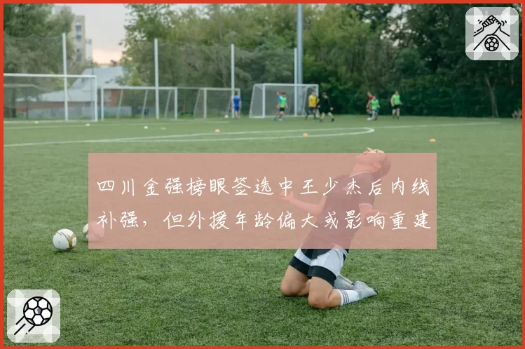 四川金强榜眼签选中王少杰后内线补强，但外援年龄偏大或影响重建速度