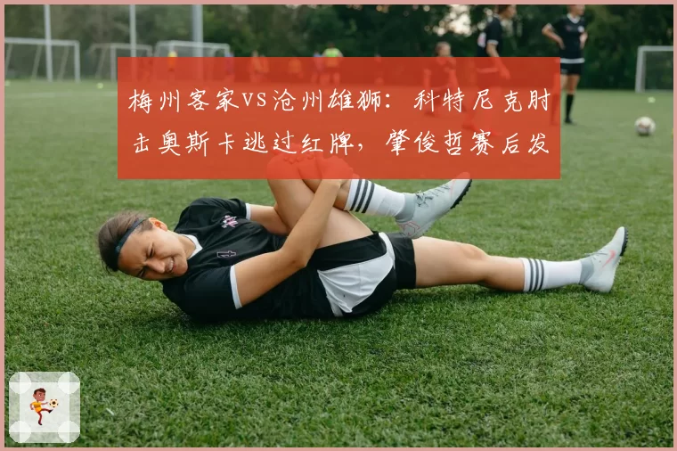 梅州客家vs沧州雄狮：科特尼克肘击奥斯卡逃过红牌，肇俊哲赛后发布会痛斥裁判