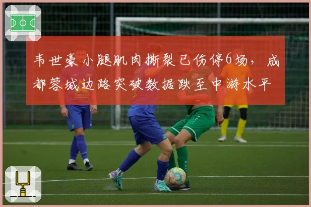 韦世豪小腿肌肉撕裂已伤停6场,成都蓉城边路突破数据跌至中游水平