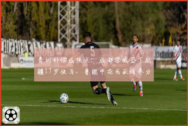 青训补偿成焦点:成都蓉城签下新疆17岁快马,鲁能申花或获培养分成