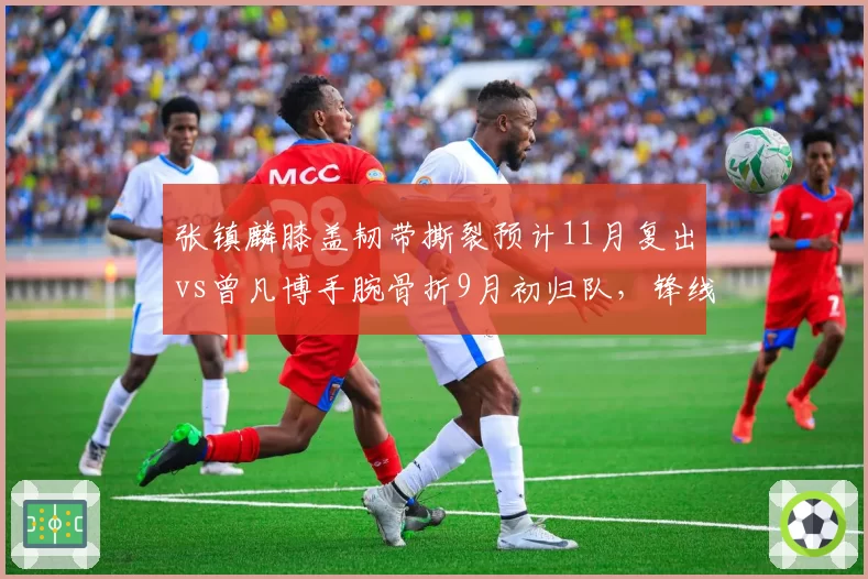 张镇麟膝盖韧带撕裂预计11月复出vs曾凡博手腕骨折9月初归队，锋线新星康复进度对比