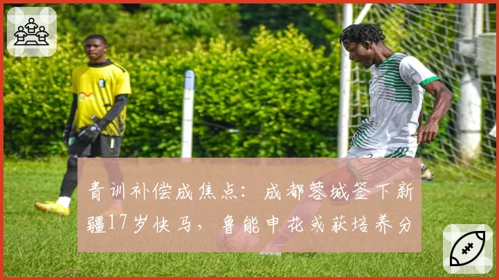 青训补偿成焦点：成都蓉城签下新疆17岁快马，鲁能申花或获培养分成